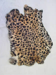 Cheetah Rabbit Fur