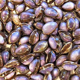 10 Gold Rimmed Purple Cowrie Shell Pendants, Sea shell jewelry, drilled shells