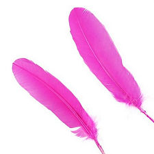 Strawberry Pink Dyed Turkey Quill Feathers, Pkg of 4