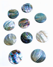 1" Green Abalone Focal Point, No Holes
